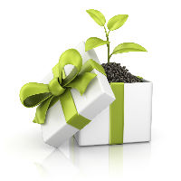 Web Site Maintainance