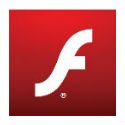 Flash